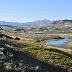 Yellowstone National Park