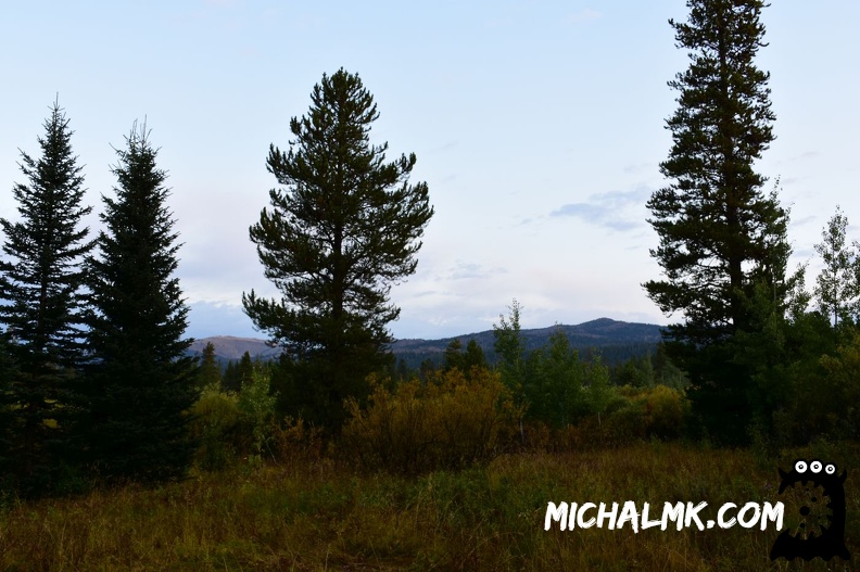 yellowstone 001 2015 003