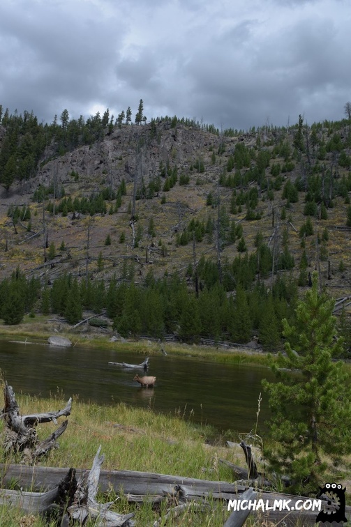 yellowstone 001 2015 016