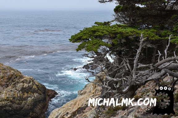 california alcatraz 005 2015 037