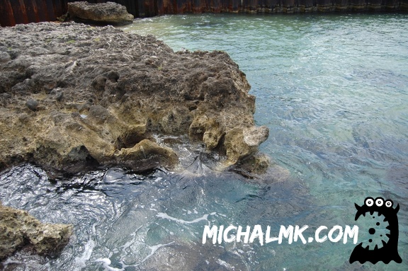 cayman islands 01 11 2013 016