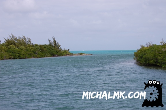 cayman islands 01 11 2013 020