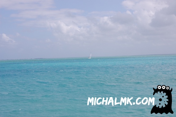 cayman islands 01 11 2013 022