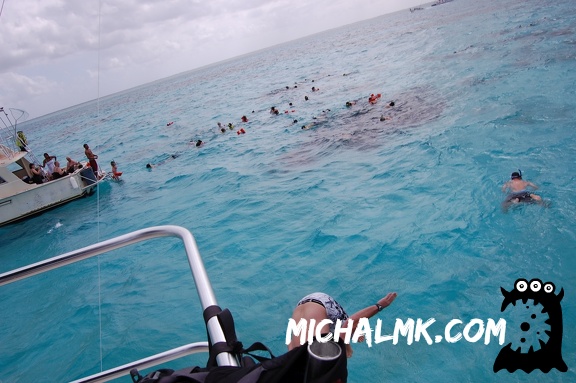 cayman islands 01 11 2013 025