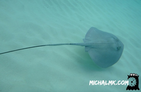 cayman islands 01 11 2013 026