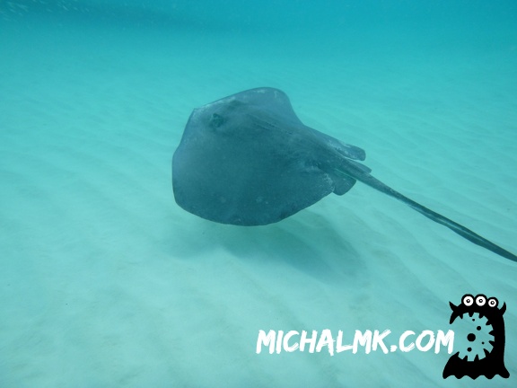 cayman islands 01 11 2013 027