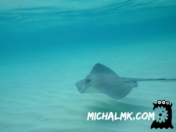 cayman islands 01 11 2013 028