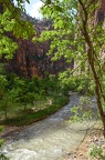 narrows zion national park 05 25 2016 010