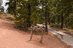 queens garden trail bryce national park 05 26 2016 003