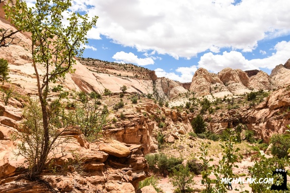capital gorge trail capitol reef national park 05 27 2016 074