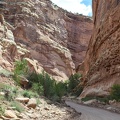 capital gorge trail capitol reef national park 05 27 2016 010